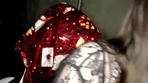 Snapshot of var_kiss chatting on February 14, 3:20 pm Var Kiss online show from February 14, 3:20 pm