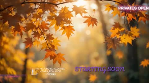 vegas_romance online show from November 3, 11:59 pm