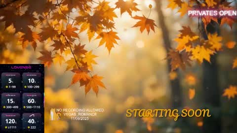 vegas_romance online show from November 9, 11:25 pm