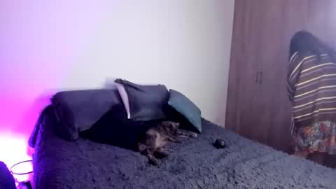 velmoon online show from October 22, 6:29 pm