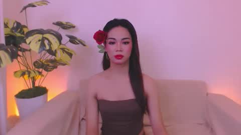 Velvet online show from May 30, 2:41 am