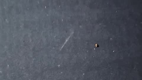 velvetsolez online show from March 22, 9:29 pm