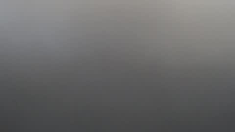 Snapshot of velvetteasexx chatting on February 2, 1:26 am velvetteasexx online show from February 2, 1:26 am