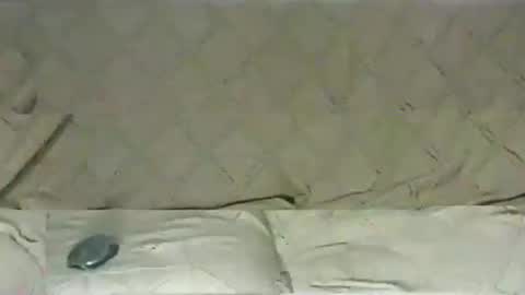 Snapshot of ventura50 chatting on March 6, 8:30 am ventura50 online show from March 6, 8:30 am