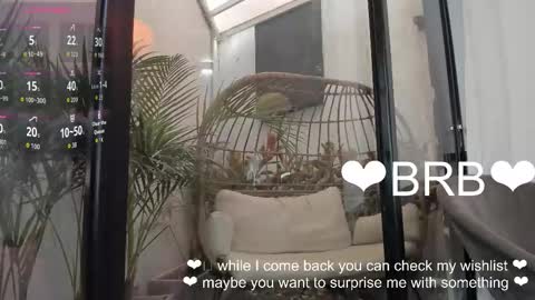 VENUS online show from January 19, 11:36 am