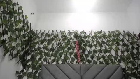 Frida online show from November 26, 12:00 am