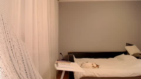 Amelia online show from February 5, 5:09 pm