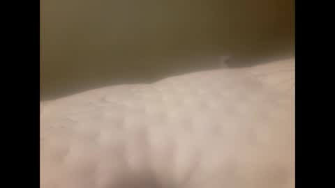 vic171477 online show from February 1, 12:15 pm