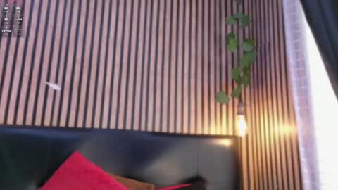 Snapshot of victoria__ponce chatting on October 21, 7:25 pm victorira online show from October 21, 7:25 pm