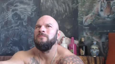 viking online show from October 25, 7:49 am