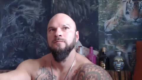 viking online show from November 7, 10:26 am