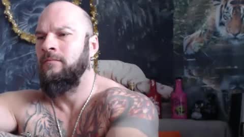 viking online show from February 11, 7:35 am