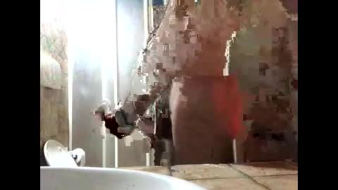 Zenith online show from March 19, 5:39 pm