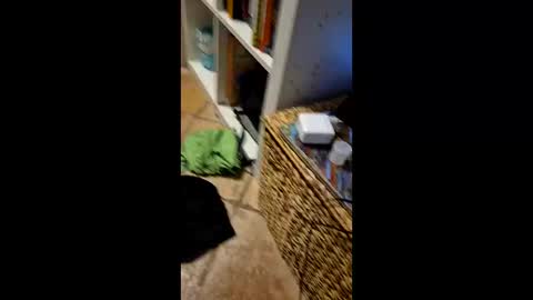 Vinz online show from March 11, 2:17 am