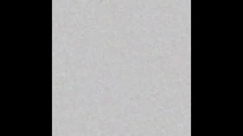 Vivian online show from October 17, 11:13 am