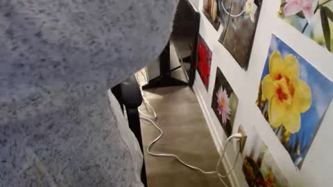 Snapshot of vixenfyre chatting on December 12, 5:59 pm Vixen Fyre online show from December 12, 5:59 pm