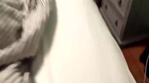 wannacam237 online show from April 21, 8:01 pm