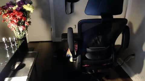 wasted_daze_ online show from October 25, 10:34 am