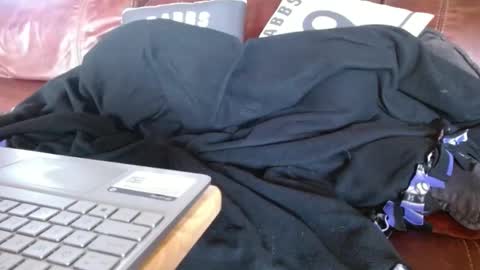 Snapshot of watchedging chatting on December 1, 10:21 pm Hereforfun online show from December 1, 10:21 pm