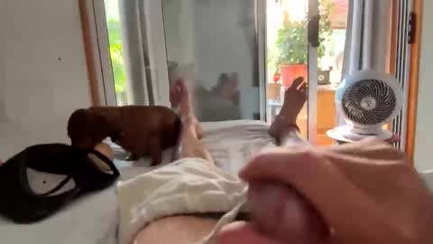 watershed111111 online show from February 6, 11:08 pm