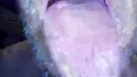 wayne1311 online show from March 1, 7:21 am