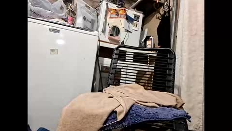 wcnmail24 online show from February 16, 7:21 pm