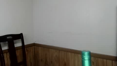 Snapshot of wedo_us chatting on January 1, 10:21 am wedo us online show from January 1, 10:21 am