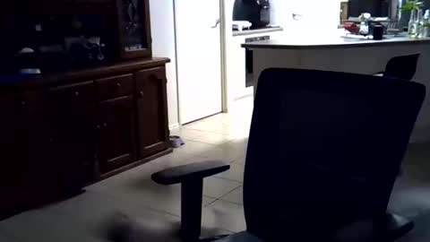 Wellhelloo online show from February 15, 12:36 pm