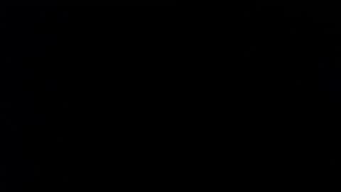 wellingtont online show from November 26, 4:52 pm