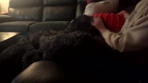 wellocal online show from December 21, 8:05 pm