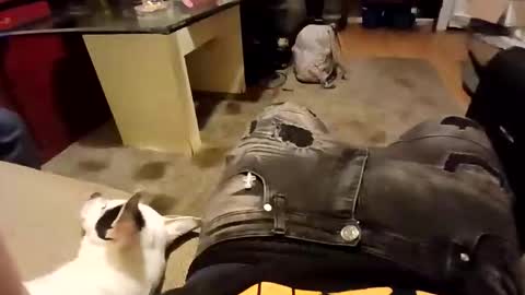 weloveeachothersrizz online show from December 5, 10:02 am