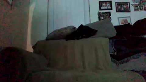 Eduardo online show from February 9, 11:03 am