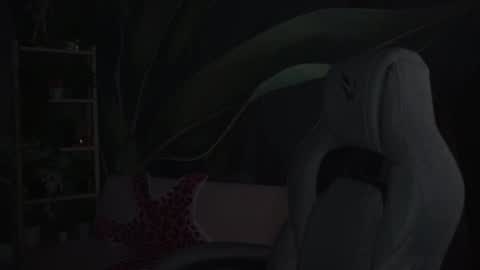 Snapshot of wesleegray chatting on November 4, 12:54 am little girl who is always rightLisa online show from November 4, 12:54 am