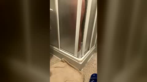 wet___pussy online show from July 6, 9:39 am