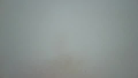 wet_pussieyy online show from November 10, 3:00 pm