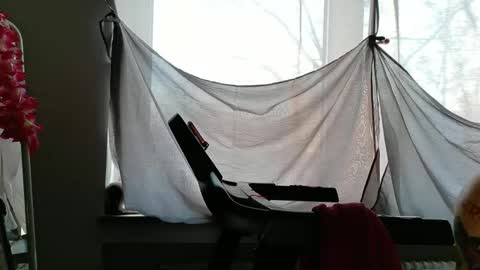 Snapshot of wetgerman2 chatting on December 17, 11:38 am Wetgerman online show from December 17, 11:38 am