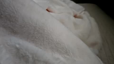 what_whaaat online show from September 21, 5:03 pm