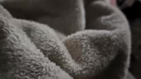 what_whaaat online show from November 2, 9:11 am