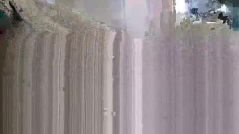 what_whaaat online show from November 9, 6:17 pm