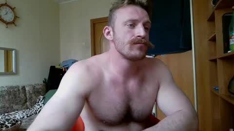WhiteBull online show from May 28, 10:12 am