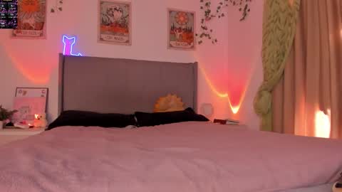 Kitty online show from December 19, 6:48 pm