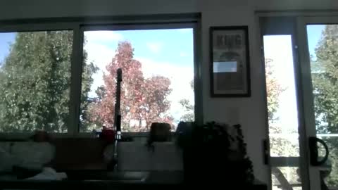 Snapshot of whitepantyman1973 chatting on April 29, 3:10 am whitepantyman1973 online show from April 29, 3:10 am