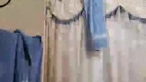 whodunnitwrangler online show from November 20, 2:12 am