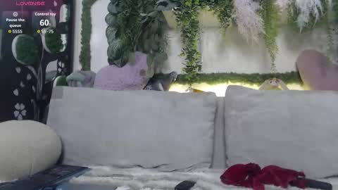 wiagra online show from November 12, 8:48 am