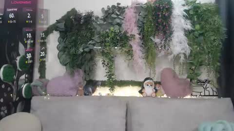 wiagra online show from December 23, 9:07 am