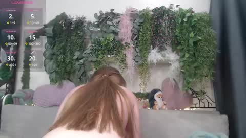 wiagra online show from February 26, 10:14 am