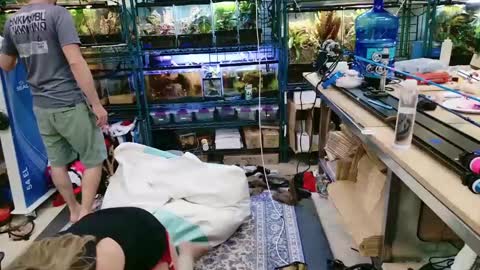 Snapshot of wifen_heels chatting on June 7, 9:18 pm WifeNheels online show from June 7, 9:18 pm