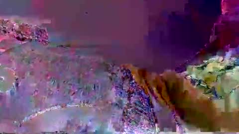 wild lemont online show from September 29, 12:21 pm