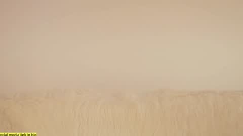 wild_schoolgirl online show from January 18, 9:45 pm