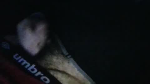 Snapshot of wildealexyz chatting on October 17, 11:46 am WildeAlex online show from October 17, 11:46 am